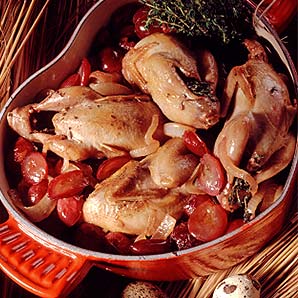 Quail
